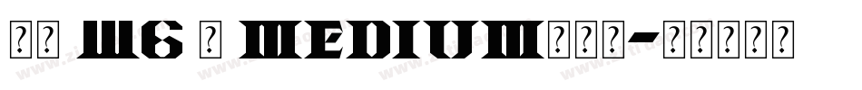 信黑 W6 简 Medium转换器字体转换
